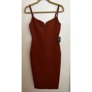 Express bodycon dress